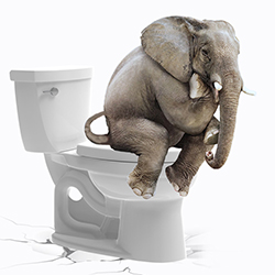 坚固的马桶盖板